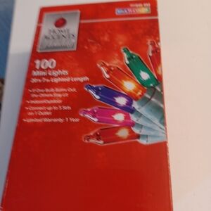Home Accents 100 multi colored mini Incandescent lights new